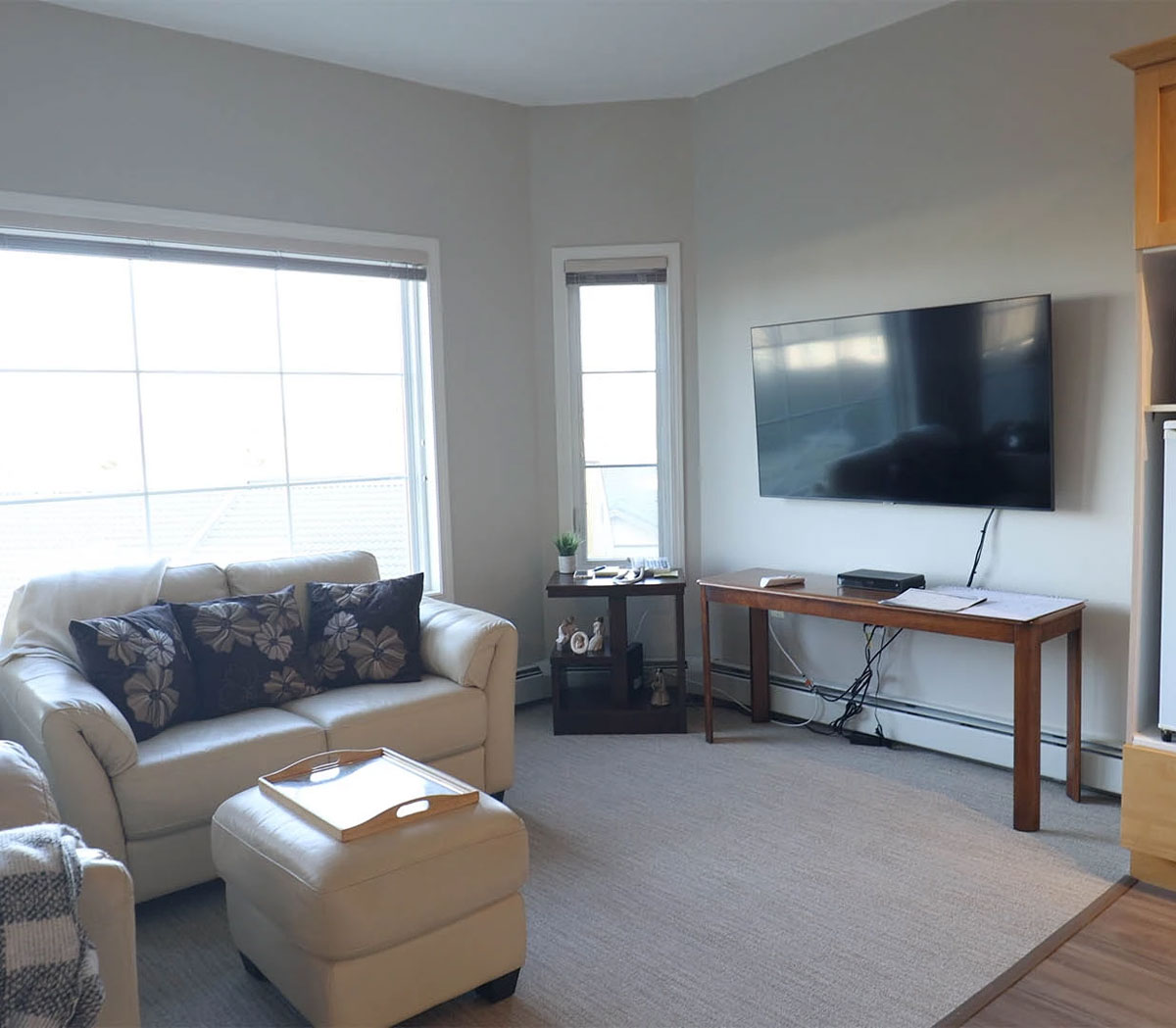 suite living area with furniture and tv